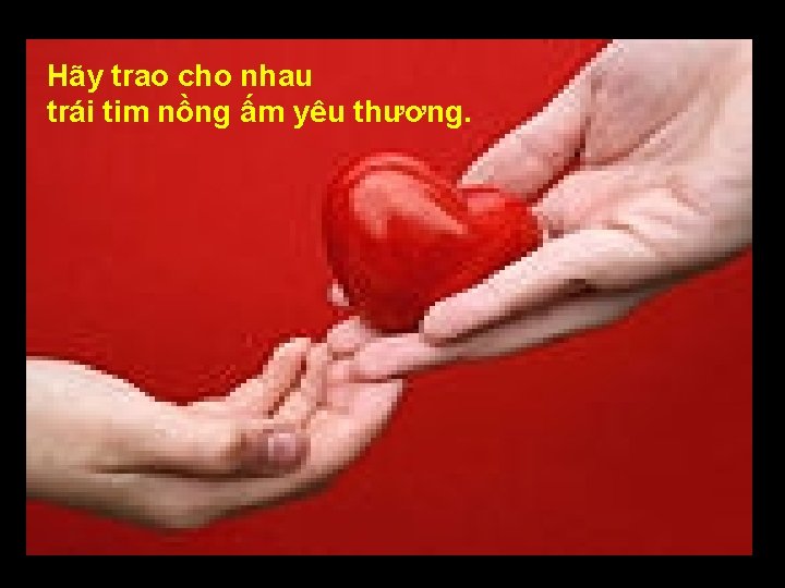 Hãy trao cho nhau trái tim nồng ấm yêu thương. 