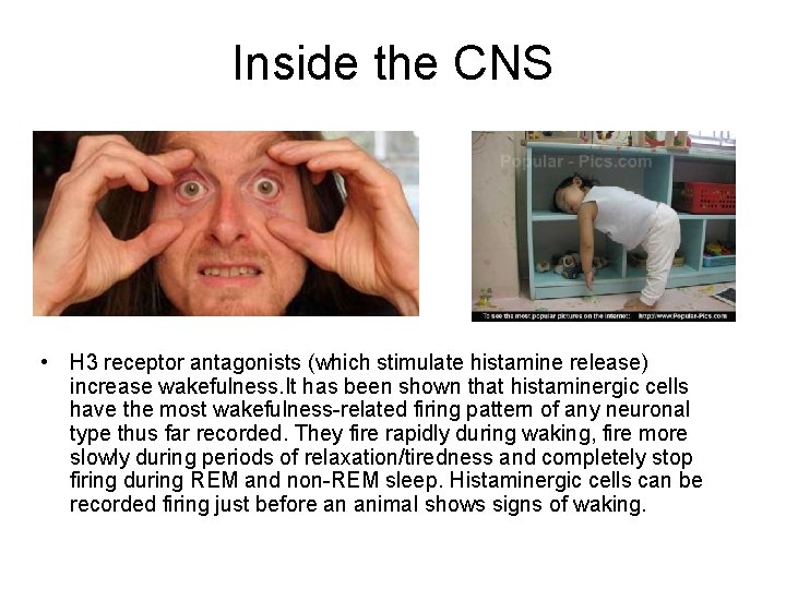 Inside the CNS • H 3 receptor antagonists (which stimulate histamine release) increase wakefulness.