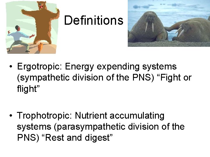 Definitions • Ergotropic: Energy expending systems (sympathetic division of the PNS) “Fight or flight”