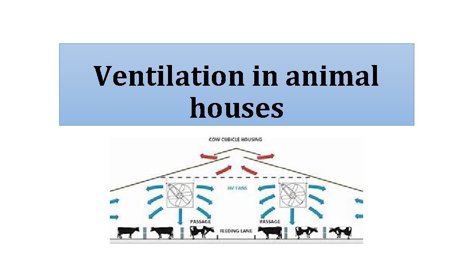 Ventilation in animal houses 