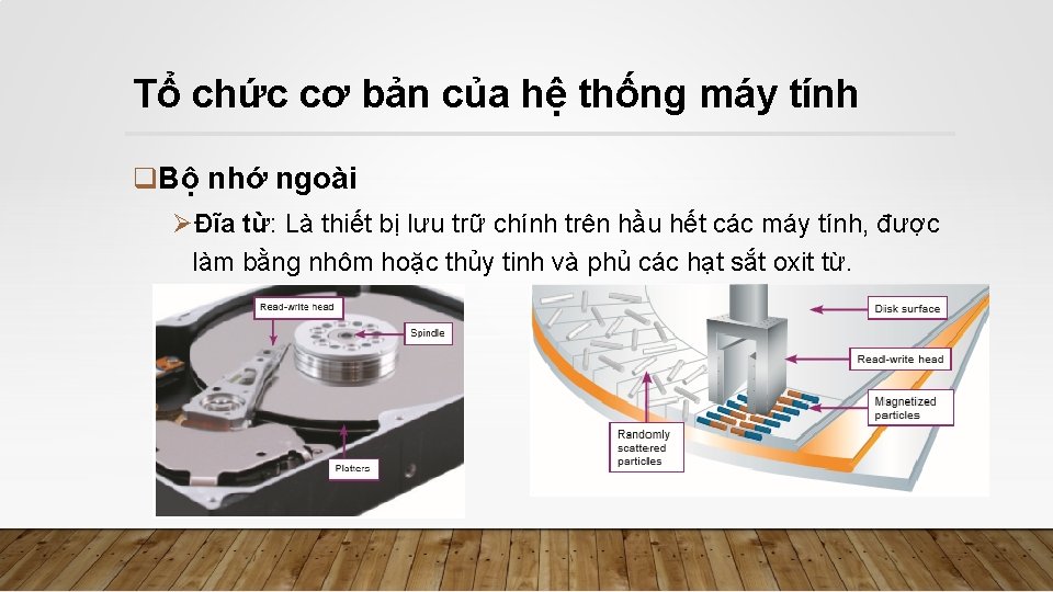 Tổ chức cơ bản của hệ thống máy tính q. Bộ nhớ ngoài ØĐĩa