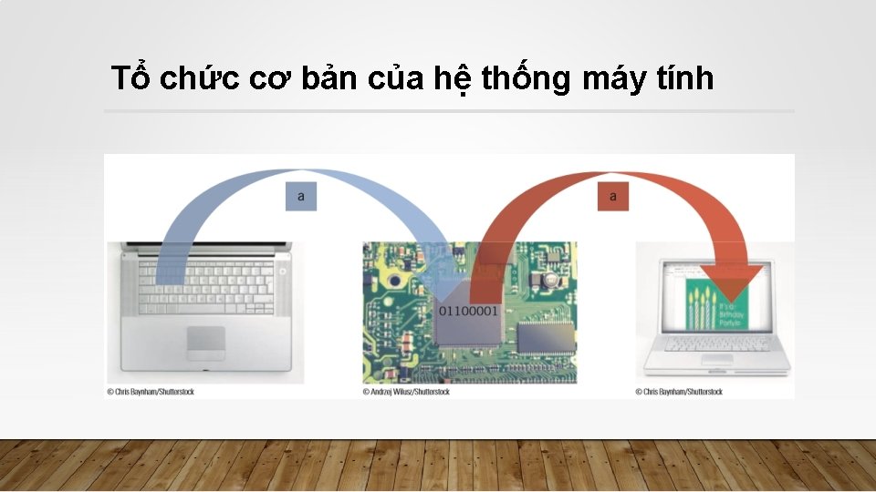 Tổ chức cơ bản của hệ thống máy tính 