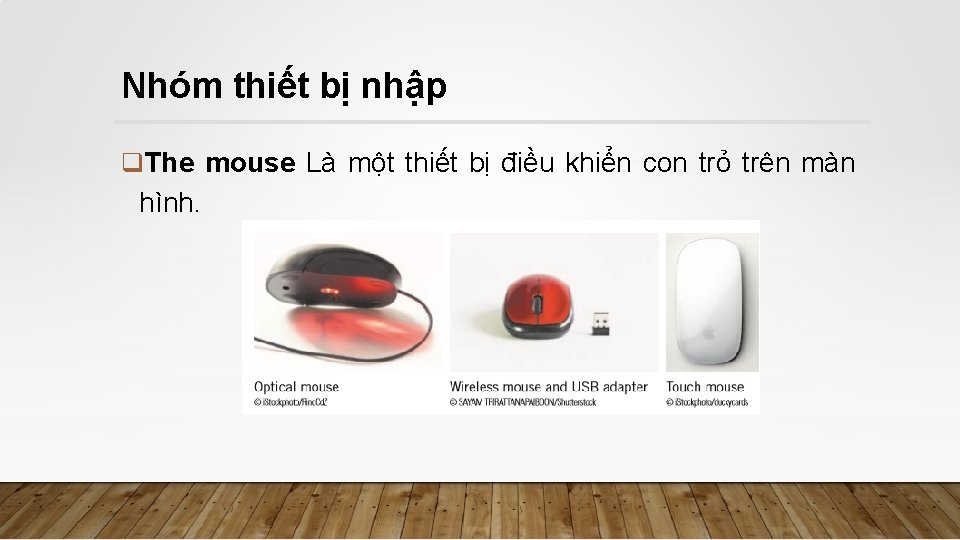 Nhóm thiết bị nhập q. The mouse Là một thiết bị điều khiển con