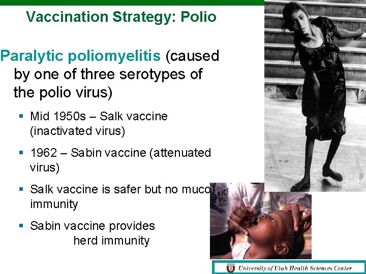 Vaccination Strategy: Polio Paralytic poliomyelitis (caused by one of three serotypes of the polio Vaccination Strategy: Polio Paralytic poliomyelitis (caused by one of three serotypes of the polio