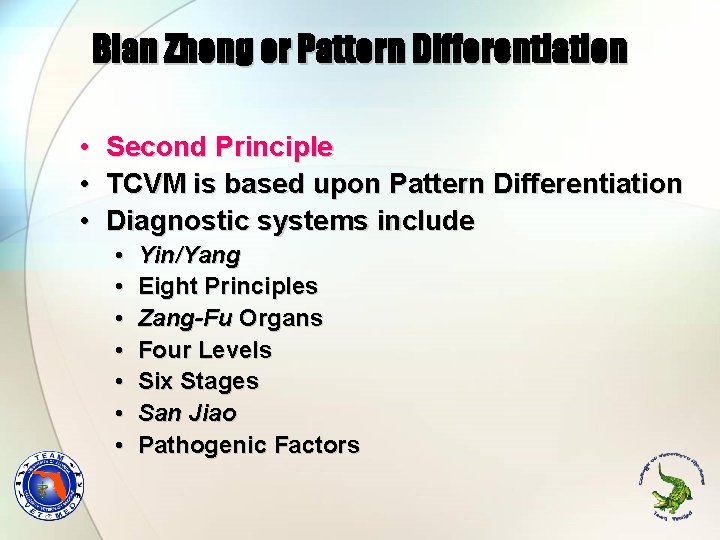 Bian Zheng or Pattern Differentiation • Second Principle • TCVM is based upon Pattern