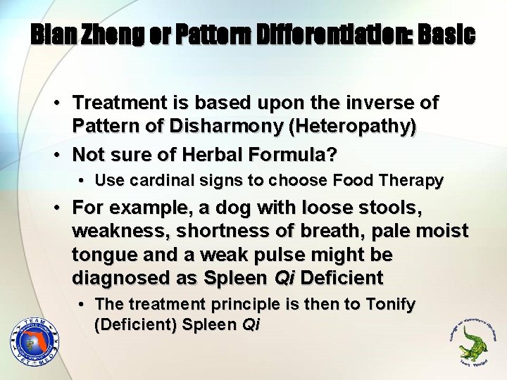 Bian Zheng or Pattern Differentiation: Basic • Treatment is based upon the inverse of