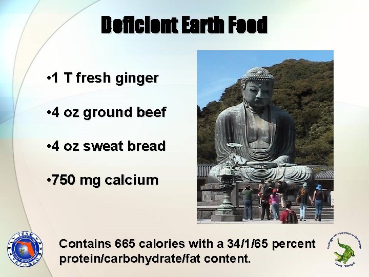 Deficient Earth Food • 1 T fresh ginger • 4 oz ground beef •