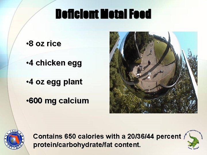 Deficient Metal Food • 8 oz rice • 4 chicken egg • 4 oz