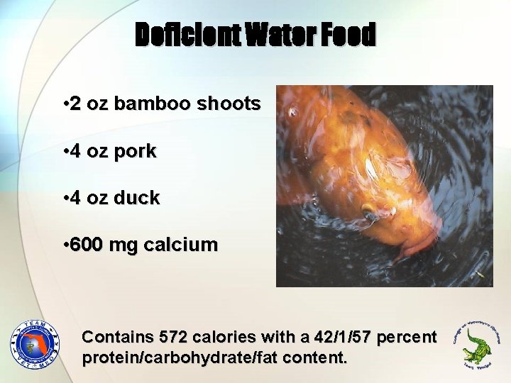 Deficient Water Food • 2 oz bamboo shoots • 4 oz pork • 4