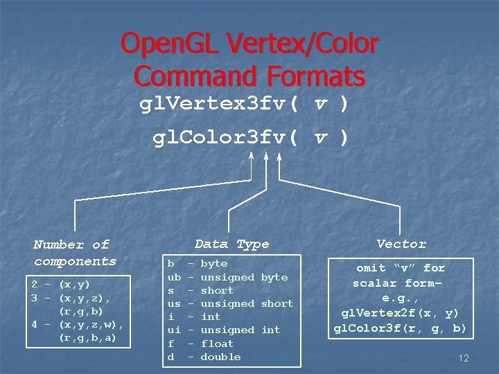 Open. GL Vertex/Color Command Formats gl. Vertex 3 fv( v ) gl. Color 3