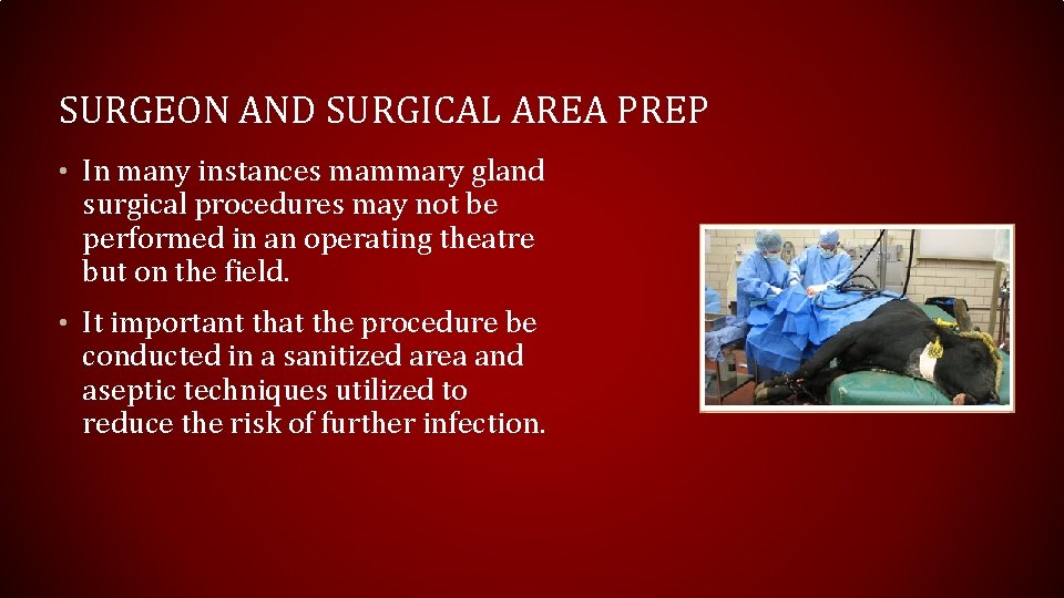 SURGEON AND SURGICAL AREA PREP • In many instances mammary gland surgical procedures may