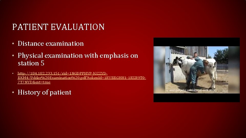 PATIENT EVALUATION • Distance examination • Physical examination with emphasis on station 5 •