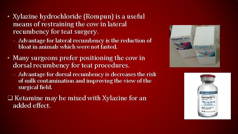  • Xylazine hydrochloride (Rompun) is a useful means of restraining the cow in