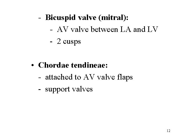- Bicuspid valve (mitral): - AV valve between LA and LV - 2 cusps