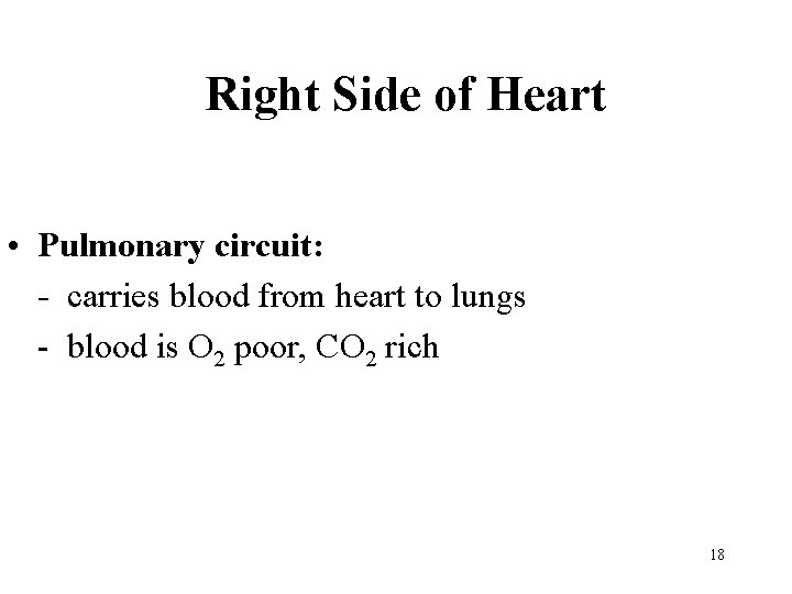 Right Side of Heart • Pulmonary circuit: - carries blood from heart to lungs