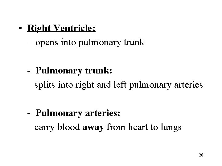  • Right Ventricle: - opens into pulmonary trunk - Pulmonary trunk: splits into