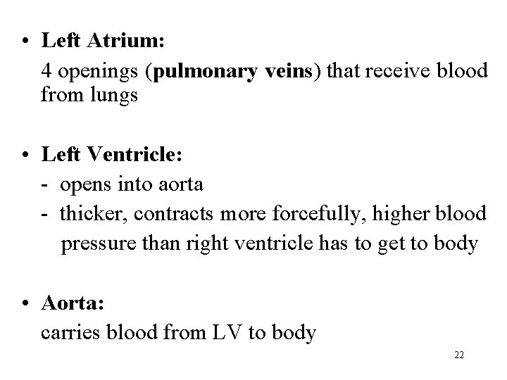  • Left Atrium: 4 openings (pulmonary veins) that receive blood from lungs •