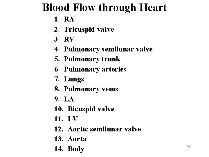 Blood Flow through Heart 1. RA 2. Tricuspid valve 3. RV 4. Pulmonary semilunar