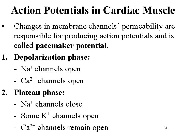 Action Potentials in Cardiac Muscle • Changes in membrane channels’ permeability are responsible for