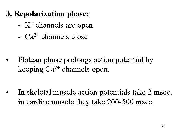 3. Repolarization phase: - K+ channels are open - Ca 2+ channels close •