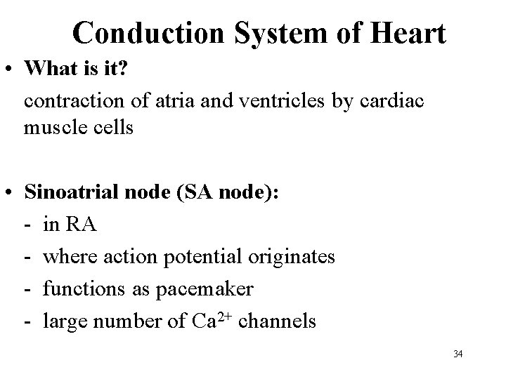Conduction System of Heart • What is it? contraction of atria and ventricles by