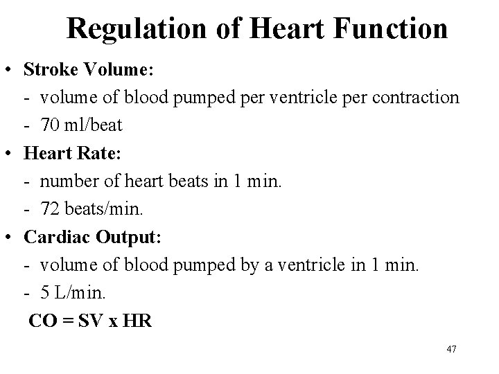 Regulation of Heart Function • Stroke Volume: - volume of blood pumped per ventricle