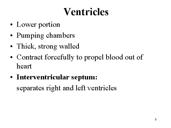 Ventricles • • Lower portion Pumping chambers Thick, strong walled Contract forcefully to propel