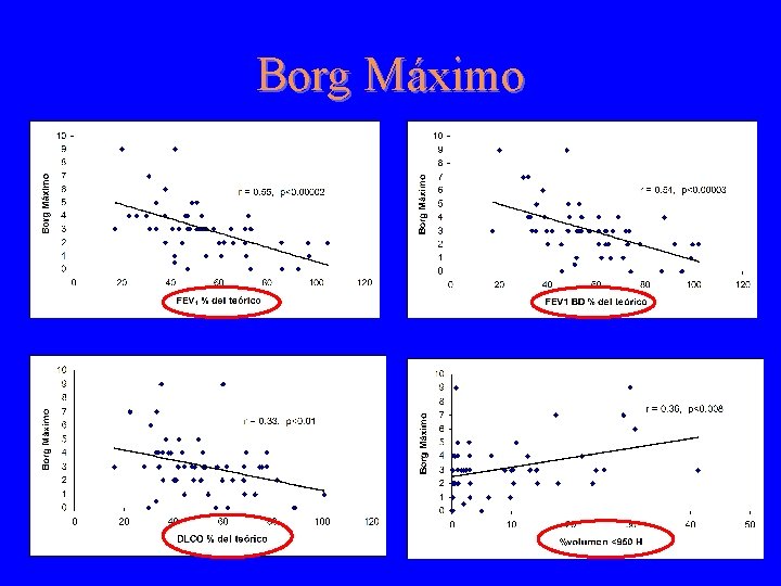 Borg Máximo 