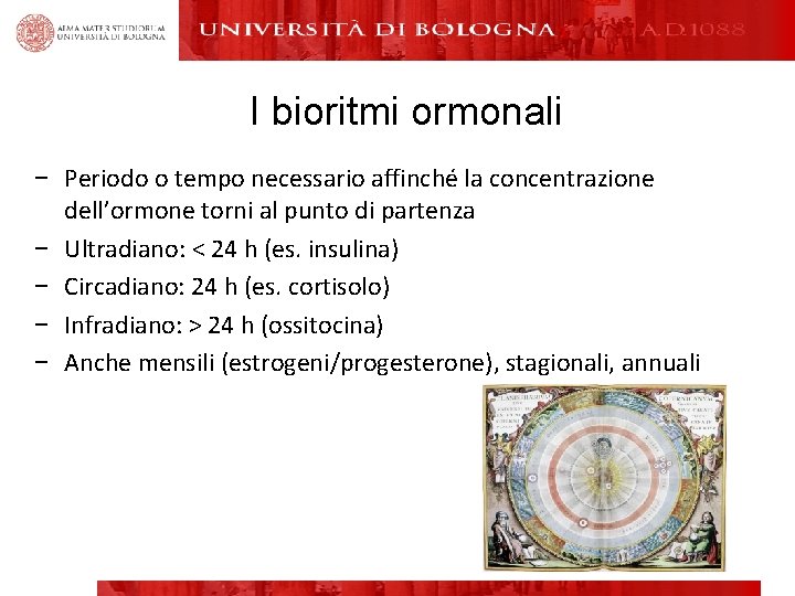 I bioritmi ormonali − Periodo o tempo necessario affinché la concentrazione dell’ormone torni al