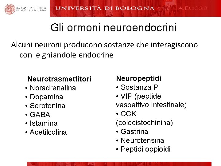 Gli ormoni neuroendocrini Alcuni neuroni producono sostanze che interagiscono con le ghiandole endocrine Neurotrasmettitori