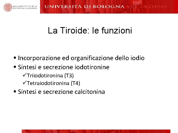 La Tiroide: le funzioni § Incorporazione ed organificazione dello iodio § Sintesi e secrezione