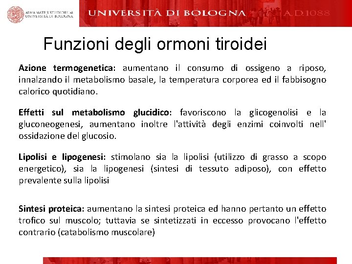 Funzioni degli ormoni tiroidei Azione termogenetica: aumentano il consumo di ossigeno a riposo, innalzando