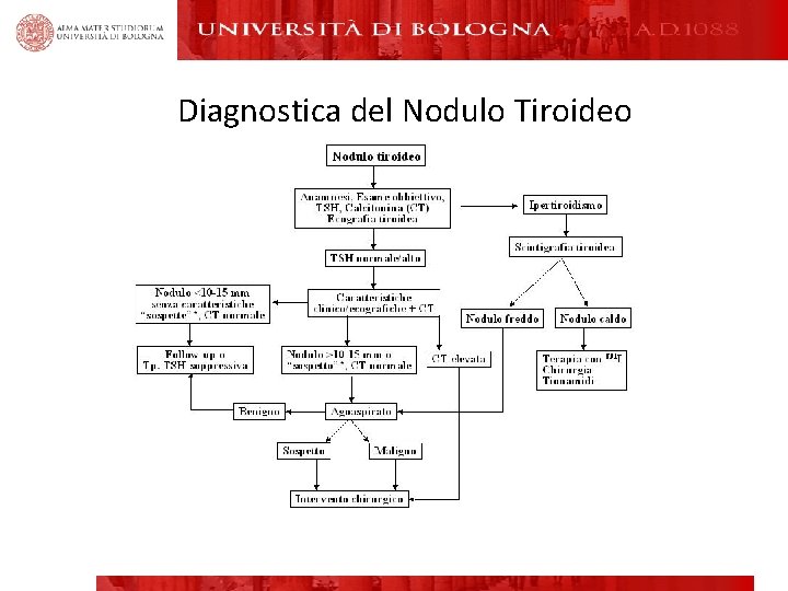 Diagnostica del Nodulo Tiroideo 