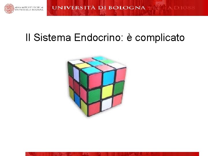 Il Sistema Endocrino: è complicato 