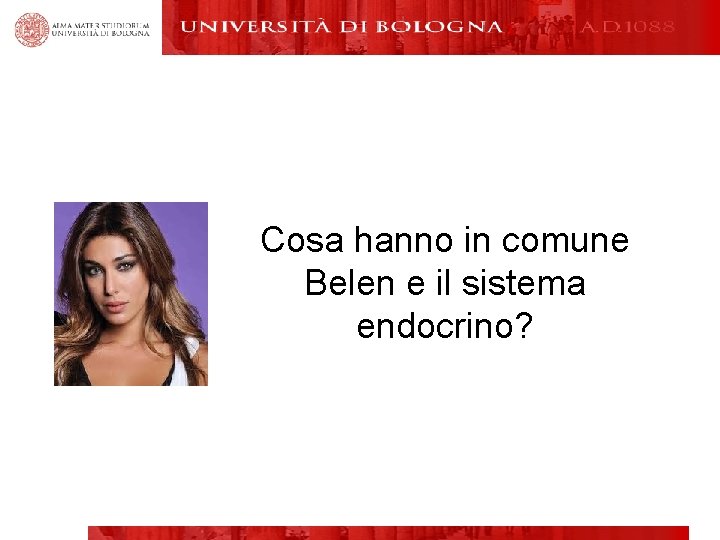 Cosa hanno in comune Belen e il sistema endocrino? 