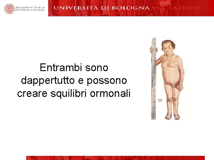 Entrambi sono dappertutto e possono creare squilibri ormonali 