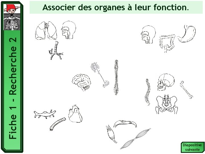 Fiche 1 - Recherche 2 Associer des organes à leur fonction. Respirer Se nourrir