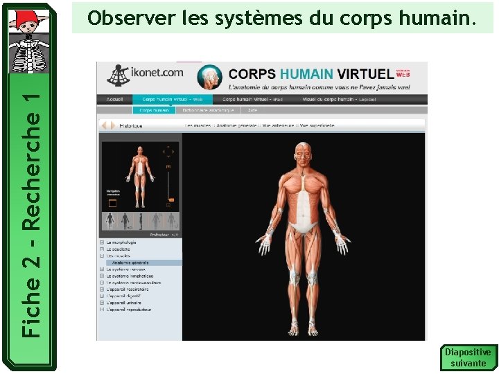 Fiche 2 - Recherche 1 Observer les systèmes du corps humain. Diapositive suivante 