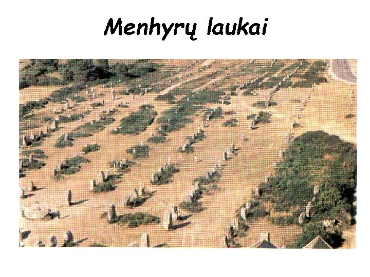 Menhyrų laukai 