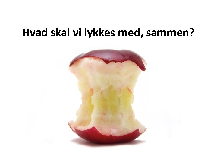 Hvad skal vi lykkes med, sammen? 