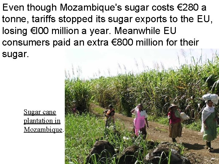 Even though Mozambique's sugar costs € 280 a tonne, tariffs stopped its sugar exports