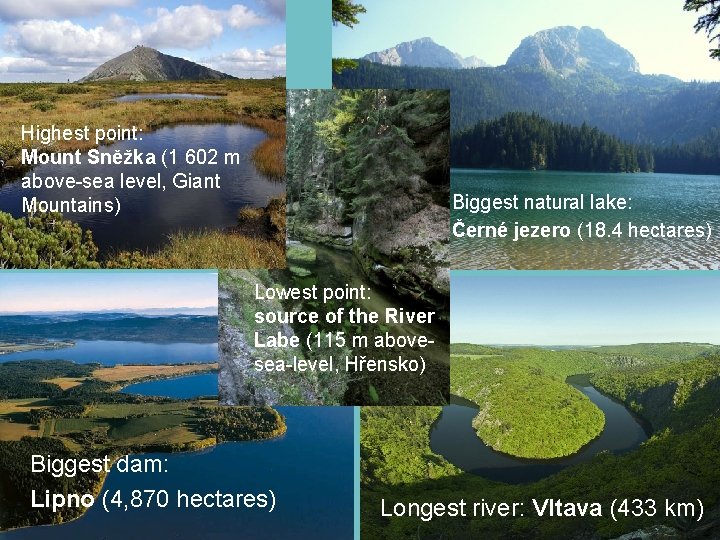 Highest point: Mount Sněžka (1 602 m above-sea level, Giant Mountains) Biggest natural lake: