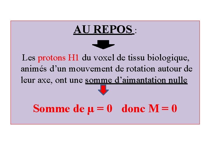 AU REPOS : Les protons H 1 du voxel de tissu biologique, animés d’un