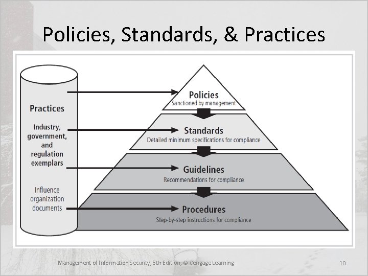 Policies, Standards, & Practices Management of Information Security, 5 th Edition, © Cengage Learning