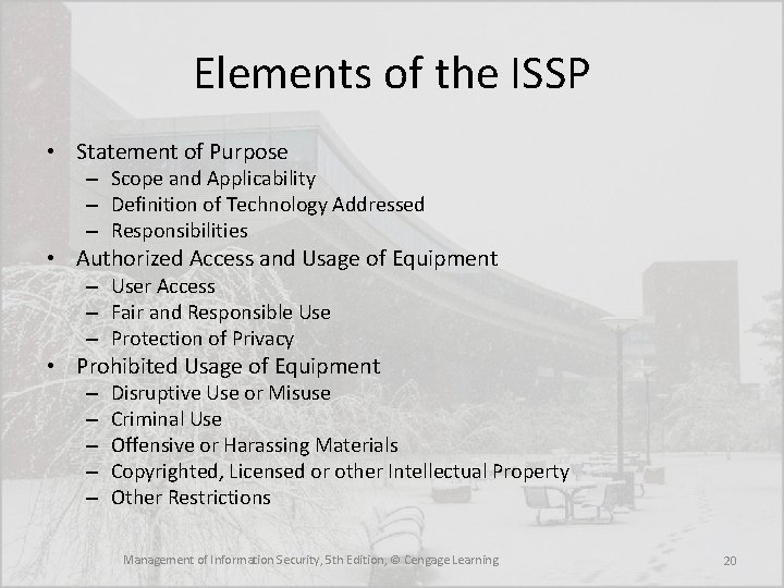 Elements of the ISSP • Statement of Purpose – Scope and Applicability – Definition