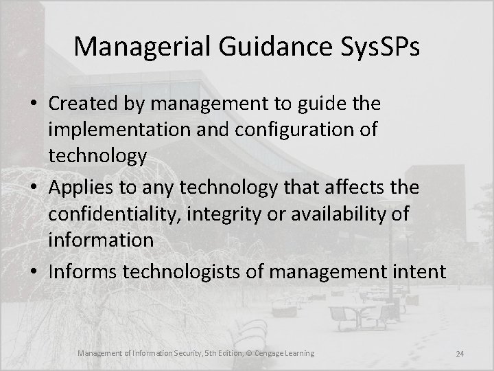 Managerial Guidance Sys. SPs • Created by management to guide the implementation and configuration