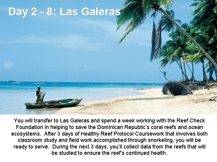 Day 2 - 8: Las Galeras You will transfer to Las Galeras and spend