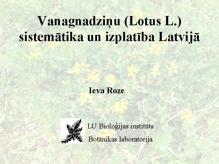 Vanagnadziņu (Lotus L. ) sistemātika un izplatība Latvijā Ieva Roze LU Bioloģijas institūts Botānikas