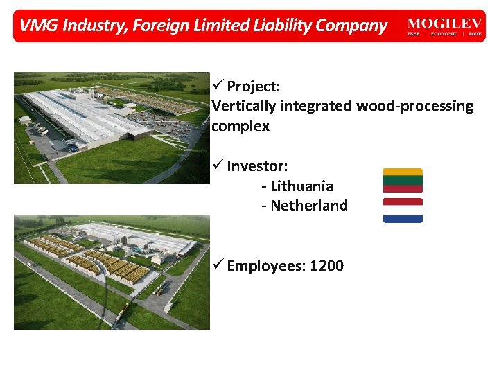 VMG Industry, Foreign Limited Liability Company ü Project: Vertically integrated wood-processing complex ü Investor: VMG Industry, Foreign Limited Liability Company ü Project: Vertically integrated wood-processing complex ü Investor: