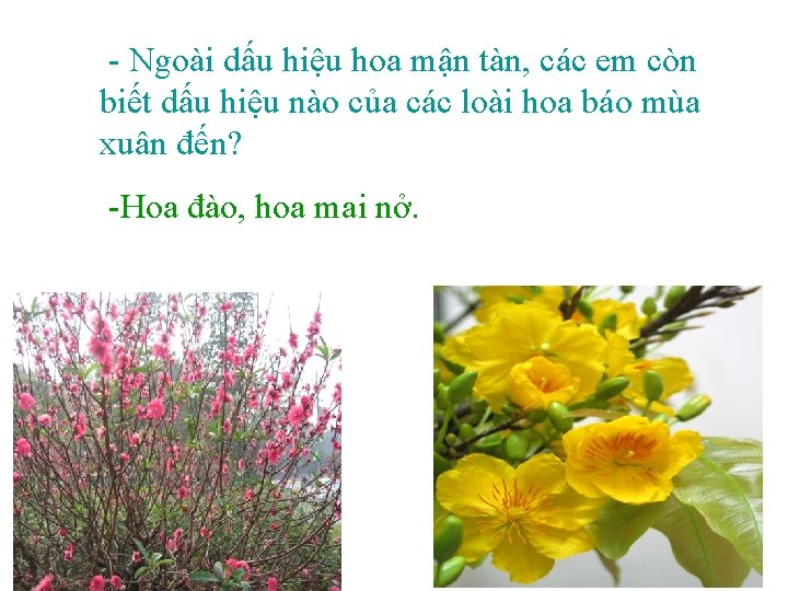 - Ngoài dấu hiệu hoa mận tàn, các em còn biết dấu hiệu nào